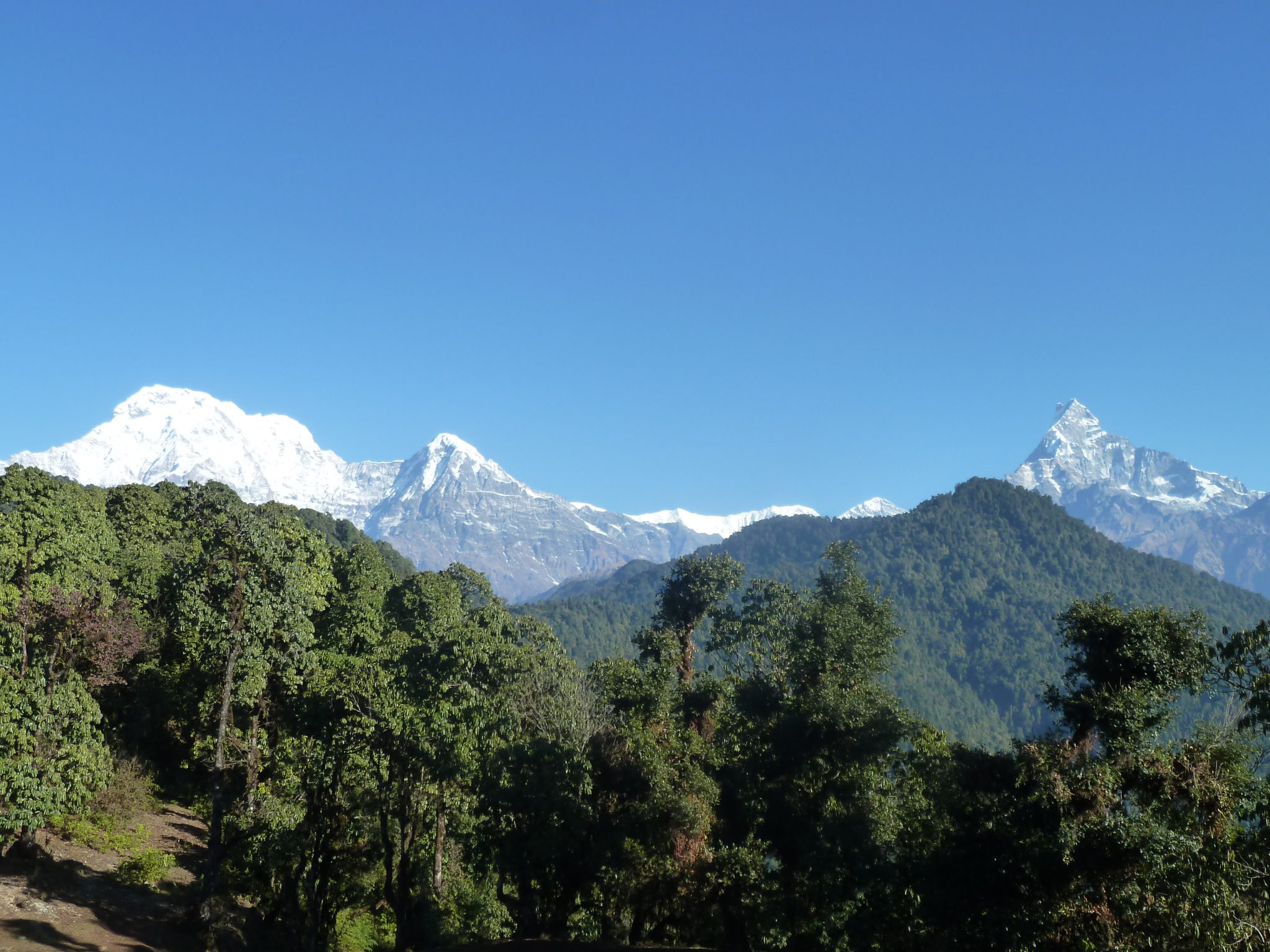 Bridim, Nepal