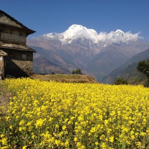 Bridim, Nepal