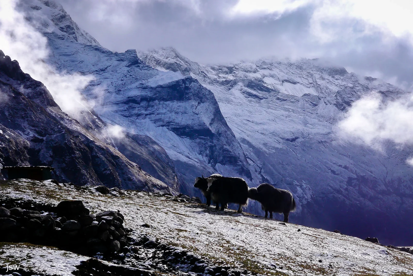 camp treks in nepal