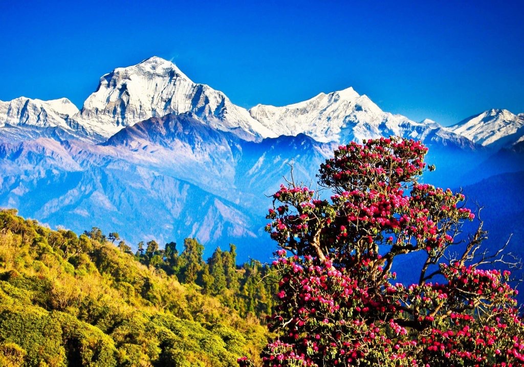 Nature and Wilderness with the view of Mountain In Nepal